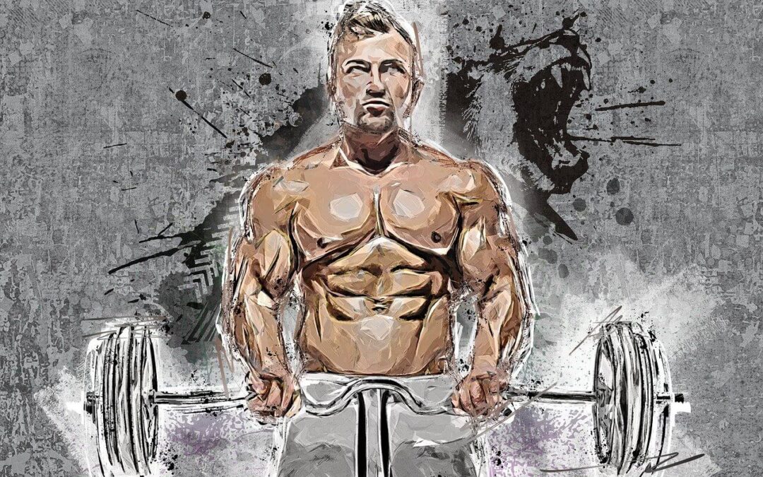 Les pectoraux : le guide ultime