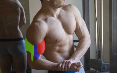 Meilleur exercice muscu bras par partie musculaire + explications