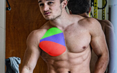 Muscu pectoraux haltères : comment faire ta séance