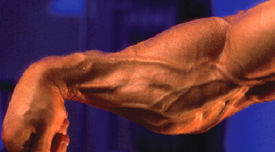 Muscu avant-bras – Quels sont les muscles et comment les travailler