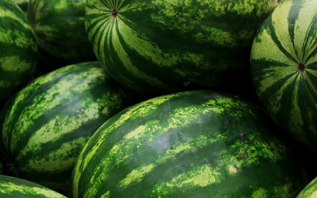 Faut-il supplémenter en citrulline ? Revue des méta analyses sur le sujet