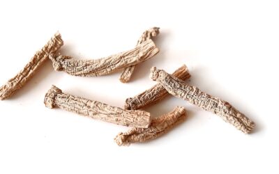 Faut-il supplémenter en ginseng panax pour augmenter sa testostérone ?