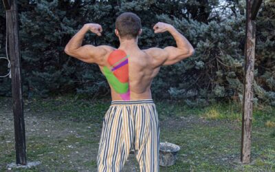 Muscler son dos avec la séance musculation dos optimale [13 études]