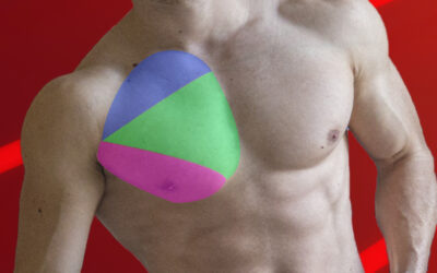 Comment avoir des beaux pectoraux rapidement et facilement [6 études]