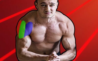 Muscle deltoïde┃développer ses épaules rapidement [13 études]