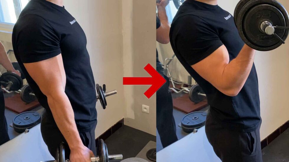 Séance biceps/triceps pour avoir des gros bras rapidement [5 études]