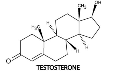 Comment augmenter son taux de testostérone naturellement et GRATUITEMENT avec ces 6 techniques