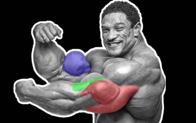 Séance biceps/triceps pour avoir des gros bras rapidement [5 études]
